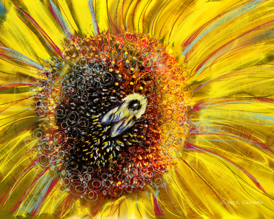 Sunflower and Bee - iPad Drawing